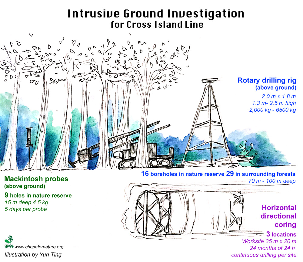Intrusive ground investigation 2- Yun Ting